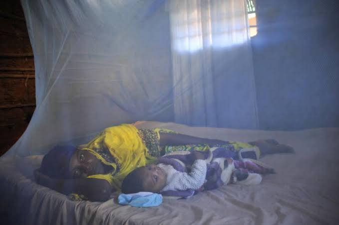Osun State Launches Distribution of 2.8 Million Insecticide-Treated Mosquito Nets to Tackle Malaria