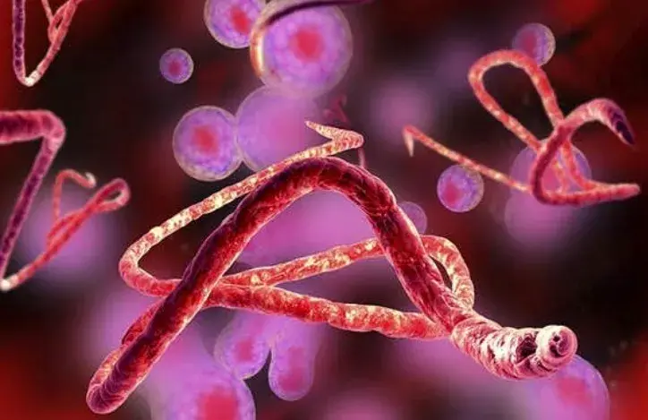 Ebola Alert: Oyo Government Assures Residents of Safety, Places Healthcare Workers on High Vigilance